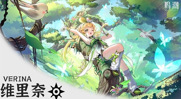 《鸣潮》维里奈培养一图流(图1)