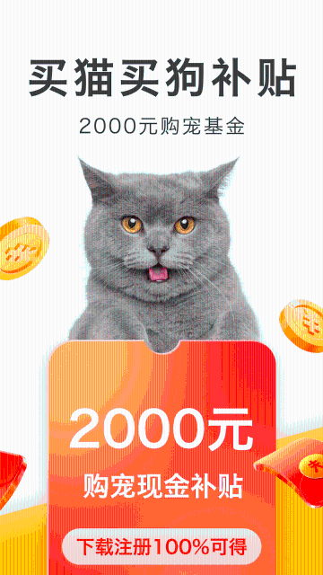 买只宠物