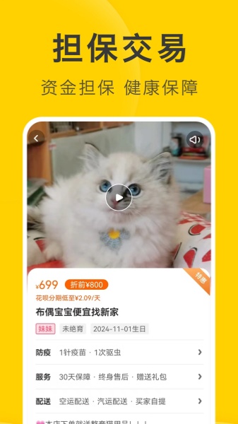 买只宠物