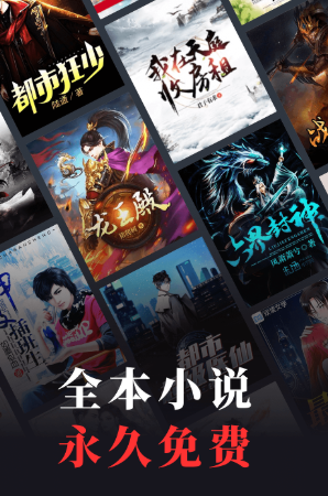 蛮多小说