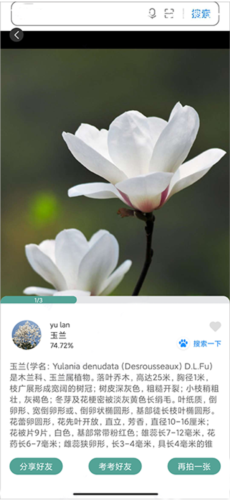 识花君