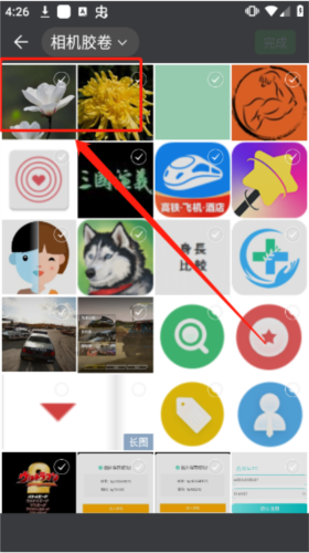 识花君