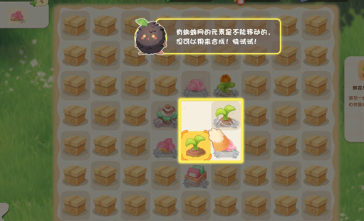 碳碳岛
