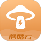 蘑菇云游
