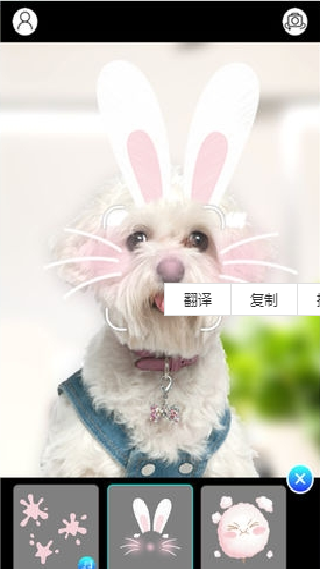 Faceme脸酷