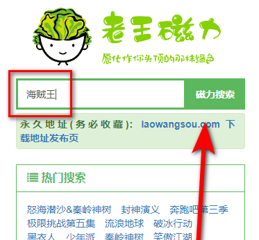 老王磁力