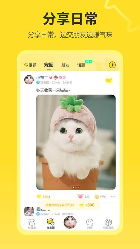 句苗岛