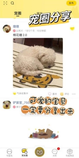 句苗岛