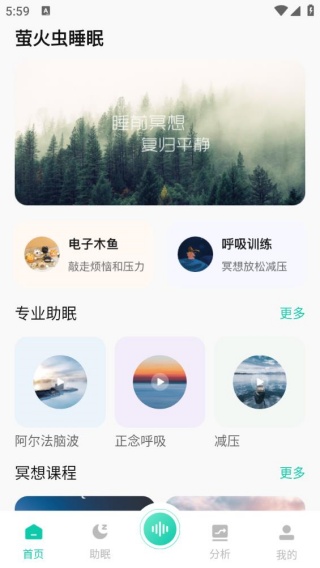 萤火虫睡眠