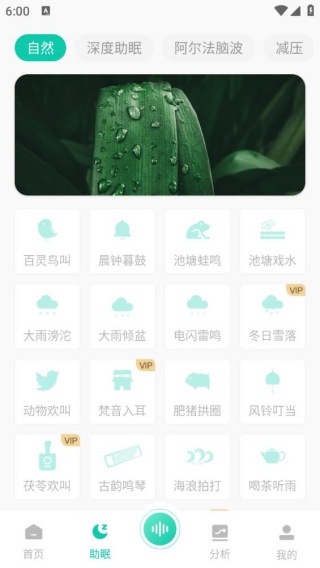 萤火虫睡眠