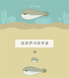 萨卡班甲鱼