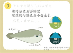 萨卡班甲鱼