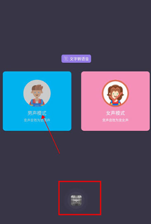 专业变声器