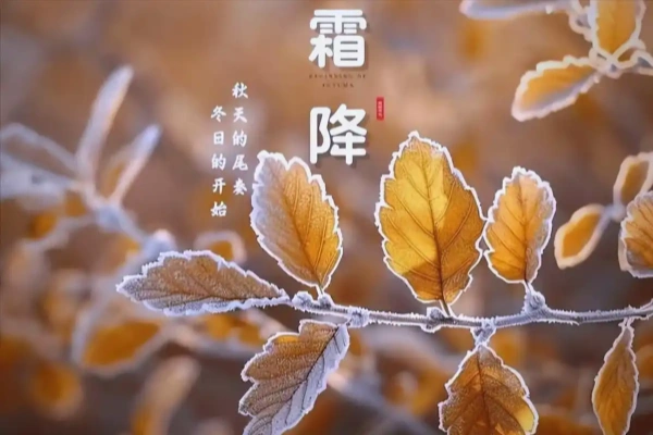 蚂蚁庄园今日答案-蚂蚁庄园2026.10.23最新答案介绍