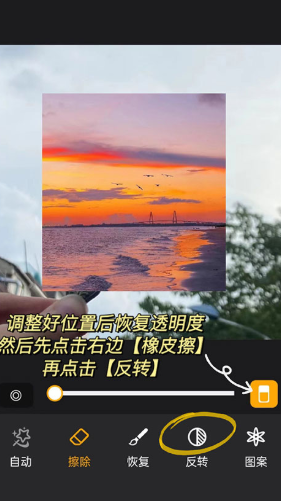 大神P图