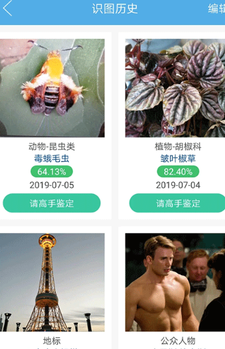 慧眼识图
