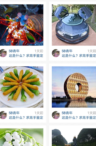 慧眼识图
