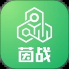 茵战